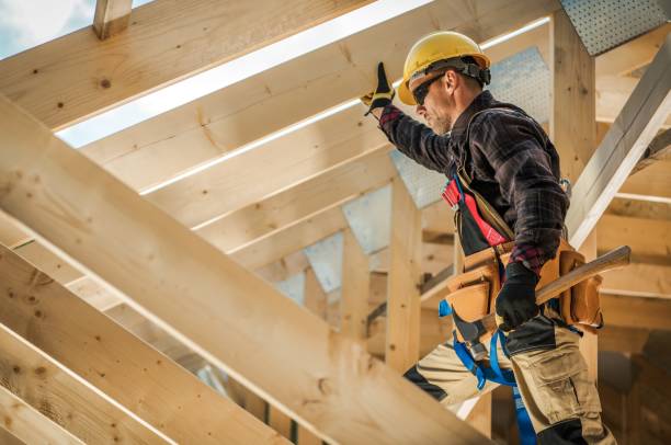 Best Roof Gutter Cleaning  in Ladonia, AL