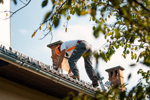 Best Gutter Installation and Roofing  in Ladonia, AL