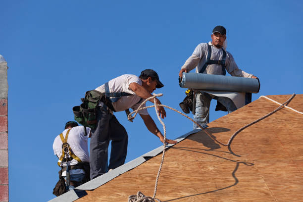 Best Roofing Contractor Near Me  in Ladonia, AL