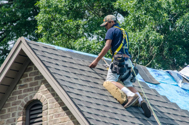 Best Roof Repair Specialists  in Ladonia, AL